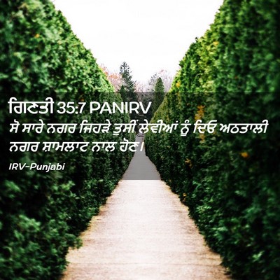 Picture 02 - ਗਿਣਤੀ 35:7 PANIRV - ਸੋ ਸਾਰੇ ਨਗਰ ਜਿਹੜੇ - Bible Verse Picture