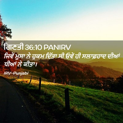 Picture 02 - ਗਿਣਤੀ 36:10 PANIRV - ਜਿਵੇਂ ਮੂਸਾ ਨੇ ਹੁਕਮ - Bible Verse Picture