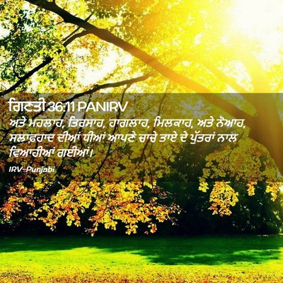 Picture 02 - ਗਿਣਤੀ 36:11 PANIRV - ਅਤੇ ਮਹਲਾਹ, ਤਿਰਸਾਹ, - Bible Verse Picture