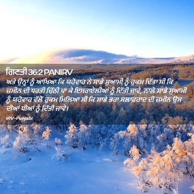 Picture 02 - ਗਿਣਤੀ 36:2 PANIRV - ਅਤੇ ਉਨ੍ਹਾਂ ਨੂੰ - Bible Verse Picture