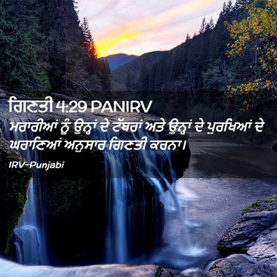 Picture 02 - ਗਿਣਤੀ 4:29 PANIRV - ਮਰਾਰੀਆਂ ਨੂੰ - Bible Verse Picture