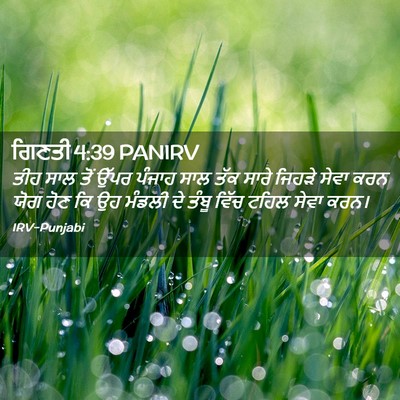 Picture 02 - ਗਿਣਤੀ 4:39 PANIRV - ਤੀਹ ਸਾਲ ਤੋਂ ਉੱਪਰ - Bible Verse Picture