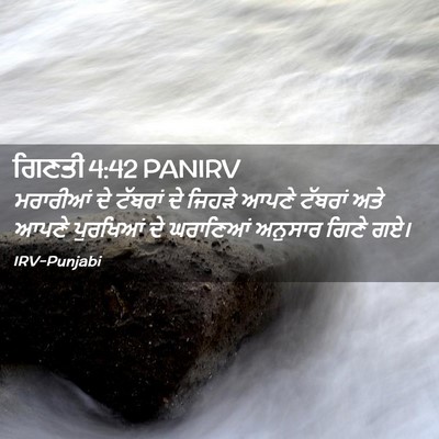 Picture 02 - ਗਿਣਤੀ 4:42 PANIRV - ਮਰਾਰੀਆਂ ਦੇ ਟੱਬਰਾਂ - Bible Verse Picture