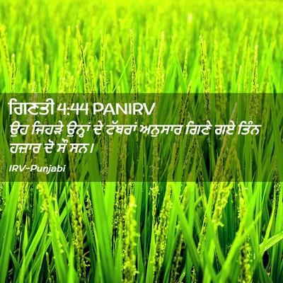 Picture 02 - ਗਿਣਤੀ 4:44 PANIRV - ਉਹ ਜਿਹੜੇ ਉਨ੍ਹਾਂ ਦੇ - Bible Verse Picture