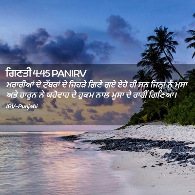 Picture 02 - ਗਿਣਤੀ 4:45 PANIRV - ਮਰਾਰੀਆਂ ਦੇ ਟੱਬਰਾਂ - Bible Verse Picture