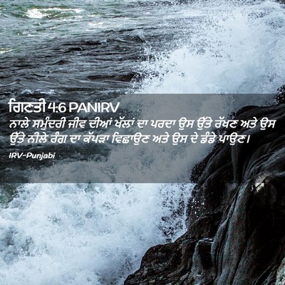Picture 02 - ਗਿਣਤੀ 4:6 PANIRV - ਨਾਲੇ ਸਮੁੰਦਰੀ ਜੀਵ - Bible Verse Picture