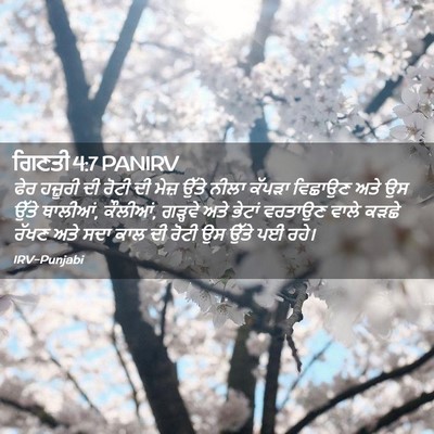 Picture 02 - ਗਿਣਤੀ 4:7 PANIRV - ਫੇਰ ਹਜ਼ੂਰੀ ਦੀ ਰੋਟੀ - Bible Verse Picture