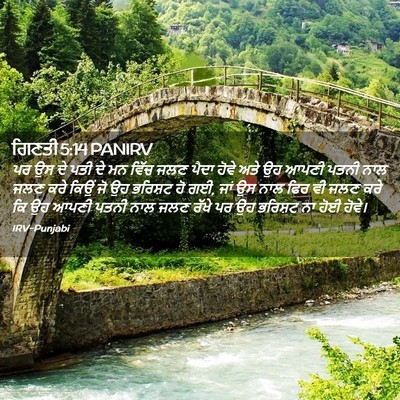 Picture 02 - ਗਿਣਤੀ 5:14 PANIRV - ਪਰ ਉਸ ਦੇ ਪਤੀ ਦੇ ਮਨ - Bible Verse Picture