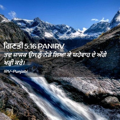 Picture 02 - ਗਿਣਤੀ 5:16 PANIRV - ਤਦ ਜਾਜਕ ਉਸ ਨੂੰ ਨੇੜੇ - Bible Verse Picture