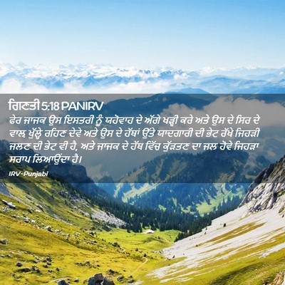 Picture 02 - ਗਿਣਤੀ 5:18 PANIRV - ਫੇਰ ਜਾਜਕ ਉਸ ਇਸਤਰੀ - Bible Verse Picture