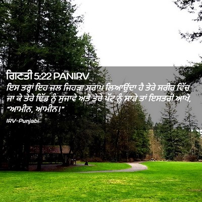 Picture 02 - ਗਿਣਤੀ 5:22 PANIRV - ਇਸ ਤਰ੍ਹਾਂ ਇਹ ਜਲ - Bible Verse Picture