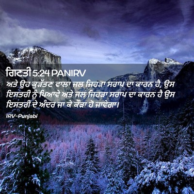 Picture 02 - ਗਿਣਤੀ 5:24 PANIRV - ਅਤੇ ਉਹ ਕੁੜੱਤਣ ਵਾਲਾ - Bible Verse Picture