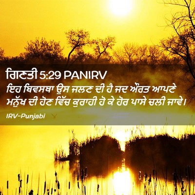 Picture 02 - ਗਿਣਤੀ 5:29 PANIRV - ਇਹ ਬਿਵਸਥਾ ਉਸ ਜਲਣ ਦੀ - Bible Verse Picture
