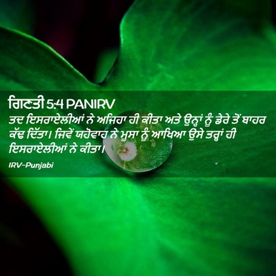 Picture 02 - ਗਿਣਤੀ 5:4 PANIRV - ਤਦ ਇਸਰਾਏਲੀਆਂ ਨੇ - Bible Verse Picture