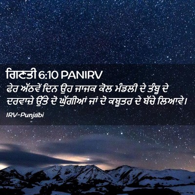 Picture 02 - ਗਿਣਤੀ 6:10 PANIRV - ਫੇਰ ਅੱਠਵੇਂ ਦਿਨ ਉਹ - Bible Verse Picture