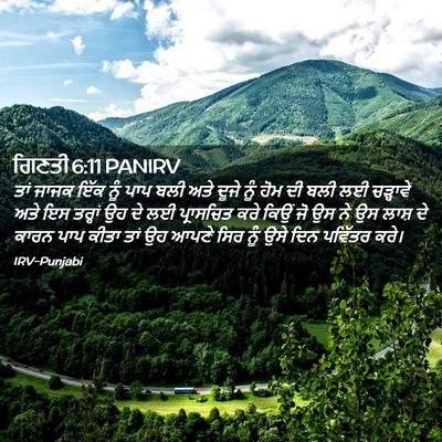 Picture 02 - ਗਿਣਤੀ 6:11 PANIRV - ਤਾਂ ਜਾਜਕ ਇੱਕ ਨੂੰ - Bible Verse Picture