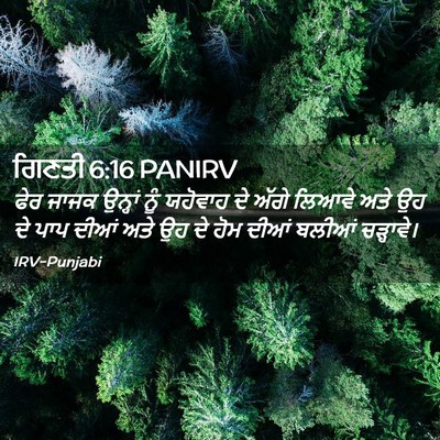 Picture 02 - ਗਿਣਤੀ 6:16 PANIRV - ਫੇਰ ਜਾਜਕ ਉਨ੍ਹਾਂ - Bible Verse Picture