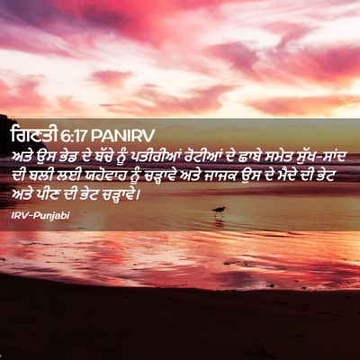 Picture 02 - ਗਿਣਤੀ 6:17 PANIRV - ਅਤੇ ਉਸ ਭੇਡ ਦੇ ਬੱਚੇ - Bible Verse Picture
