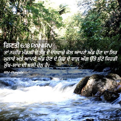 Picture 02 - ਗਿਣਤੀ 6:18 PANIRV - ਤਾਂ ਨਜ਼ੀਰ ਮੰਡਲੀ ਦੇ - Bible Verse Picture