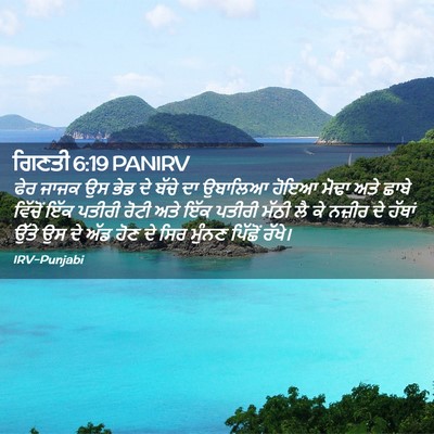 Picture 02 - ਗਿਣਤੀ 6:19 PANIRV - ਫੇਰ ਜਾਜਕ ਉਸ ਭੇਡ ਦੇ - Bible Verse Picture