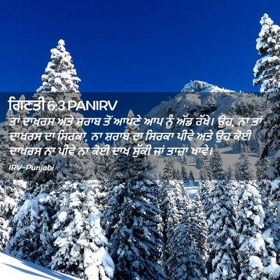 Picture 02 - ਗਿਣਤੀ 6:3 PANIRV - ਤਾਂ ਦਾਖ਼ਰਸ ਅਤੇ - Bible Verse Picture