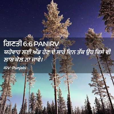 Picture 02 - ਗਿਣਤੀ 6:6 PANIRV - ਯਹੋਵਾਹ ਲਈ ਅੱਡ ਹੋਣ - Bible Verse Picture