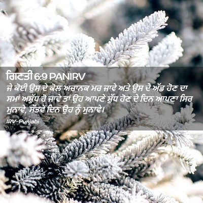 Picture 02 - ਗਿਣਤੀ 6:9 PANIRV - ਜੇ ਕੋਈ ਉਸ ਦੇ ਕੋਲ - Bible Verse Picture