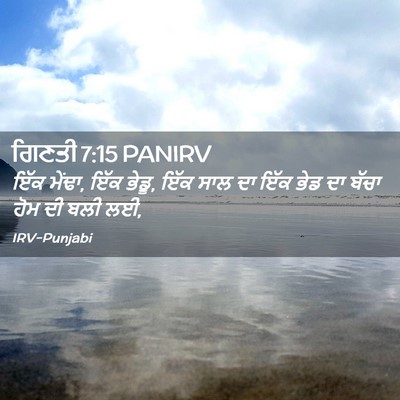 Picture 02 - ਗਿਣਤੀ 7:15 PANIRV - ਇੱਕ ਮੇਂਢਾ, ਇੱਕ - Bible Verse Picture