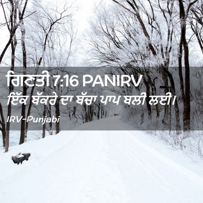 Picture 02 - ਗਿਣਤੀ 7:16 PANIRV - ਇੱਕ ਬੱਕਰੇ ਦਾ ਬੱਚਾ - Bible Verse Picture