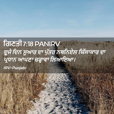 Picture 02 - ਗਿਣਤੀ 7:18 PANIRV - ਦੂਜੇ ਦਿਨ ਸੂਆਰ ਦਾ - Bible Verse Picture
