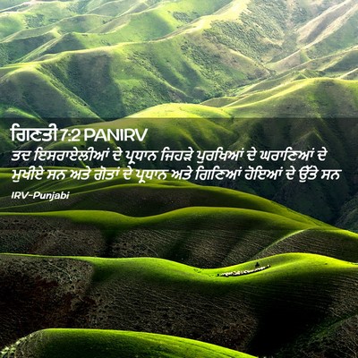 Picture 02 - ਗਿਣਤੀ 7:2 PANIRV - ਤਦ ਇਸਰਾਏਲੀਆਂ ਦੇ - Bible Verse Picture