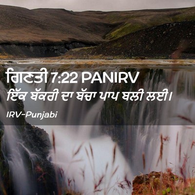 Picture 02 - ਗਿਣਤੀ 7:22 PANIRV - ਇੱਕ ਬੱਕਰੀ ਦਾ ਬੱਚਾ - Bible Verse Picture