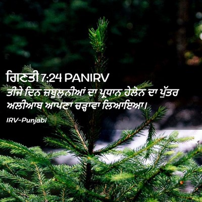 Picture 02 - ਗਿਣਤੀ 7:24 PANIRV - ਤੀਜੇ ਦਿਨ - Bible Verse Picture