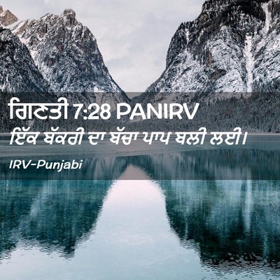 Picture 02 - ਗਿਣਤੀ 7:28 PANIRV - ਇੱਕ ਬੱਕਰੀ ਦਾ ਬੱਚਾ - Bible Verse Picture