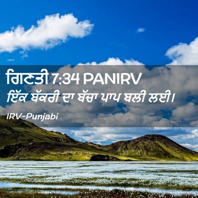 Picture 02 - ਗਿਣਤੀ 7:34 PANIRV - ਇੱਕ ਬੱਕਰੀ ਦਾ ਬੱਚਾ - Bible Verse Picture