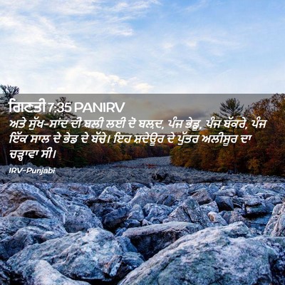 Picture 02 - ਗਿਣਤੀ 7:35 PANIRV - ਅਤੇ ਸੁੱਖ-ਸਾਂਦ ਦੀ - Bible Verse Picture