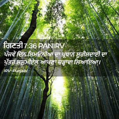 Picture 02 - ਗਿਣਤੀ 7:36 PANIRV - ਪੰਜਵੇਂ ਦਿਨ - Bible Verse Picture