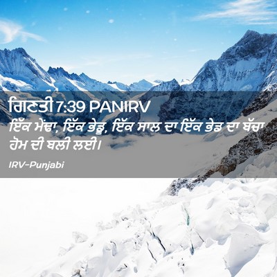 Picture 02 - ਗਿਣਤੀ 7:39 PANIRV - ਇੱਕ ਮੇਂਢਾ, ਇੱਕ - Bible Verse Picture