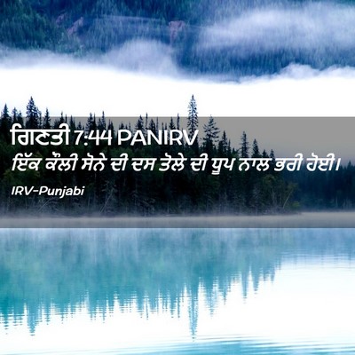Picture 02 - ਗਿਣਤੀ 7:44 PANIRV - ਇੱਕ ਕੌਲੀ ਸੋਨੇ ਦੀ ਦਸ - Bible Verse Picture
