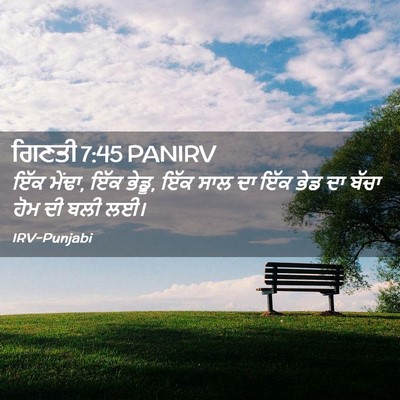 Picture 02 - ਗਿਣਤੀ 7:45 PANIRV - ਇੱਕ ਮੇਂਢਾ, ਇੱਕ - Bible Verse Picture