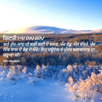 Picture 02 - ਗਿਣਤੀ 7:47 PANIRV - ਅਤੇ ਸੁੱਖ-ਸਾਂਦ ਦੀ - Bible Verse Picture