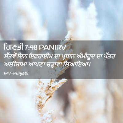 Picture 02 - ਗਿਣਤੀ 7:48 PANIRV - ਸੱਤਵੇਂ ਦਿਨ - Bible Verse Picture