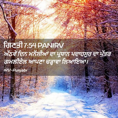 Picture 02 - ਗਿਣਤੀ 7:54 PANIRV - ਅੱਠਵੇਂ ਦਿਨ - Bible Verse Picture