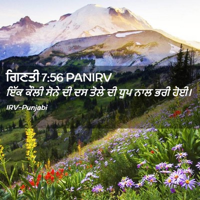 Picture 02 - ਗਿਣਤੀ 7:56 PANIRV - ਇੱਕ ਕੌਲੀ ਸੋਨੇ ਦੀ ਦਸ - Bible Verse Picture