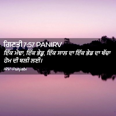 Picture 02 - ਗਿਣਤੀ 7:57 PANIRV - ਇੱਕ ਮੇਂਢਾ, ਇੱਕ - Bible Verse Picture