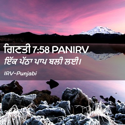 Picture 02 - ਗਿਣਤੀ 7:58 PANIRV - ਇੱਕ ਪੱਠਾ ਪਾਪ ਬਲੀ - Bible Verse Picture