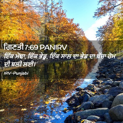 Picture 02 - ਗਿਣਤੀ 7:69 PANIRV - ਇੱਕ ਮੇਂਢਾ, ਇੱਕ - Bible Verse Picture