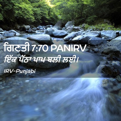 Picture 02 - ਗਿਣਤੀ 7:70 PANIRV - ਇੱਕ ਪੱਠਾ ਪਾਪ ਬਲੀ - Bible Verse Picture