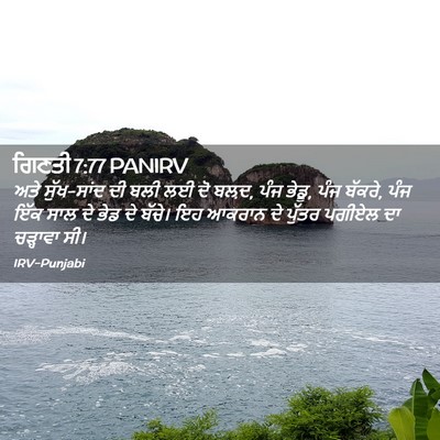 Picture 02 - ਗਿਣਤੀ 7:77 PANIRV - ਅਤੇ ਸੁੱਖ-ਸਾਂਦ ਦੀ - Bible Verse Picture