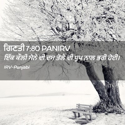 Picture 02 - ਗਿਣਤੀ 7:80 PANIRV - ਇੱਕ ਕੌਲੀ ਸੋਨੇ ਦੀ ਦਸ - Bible Verse Picture